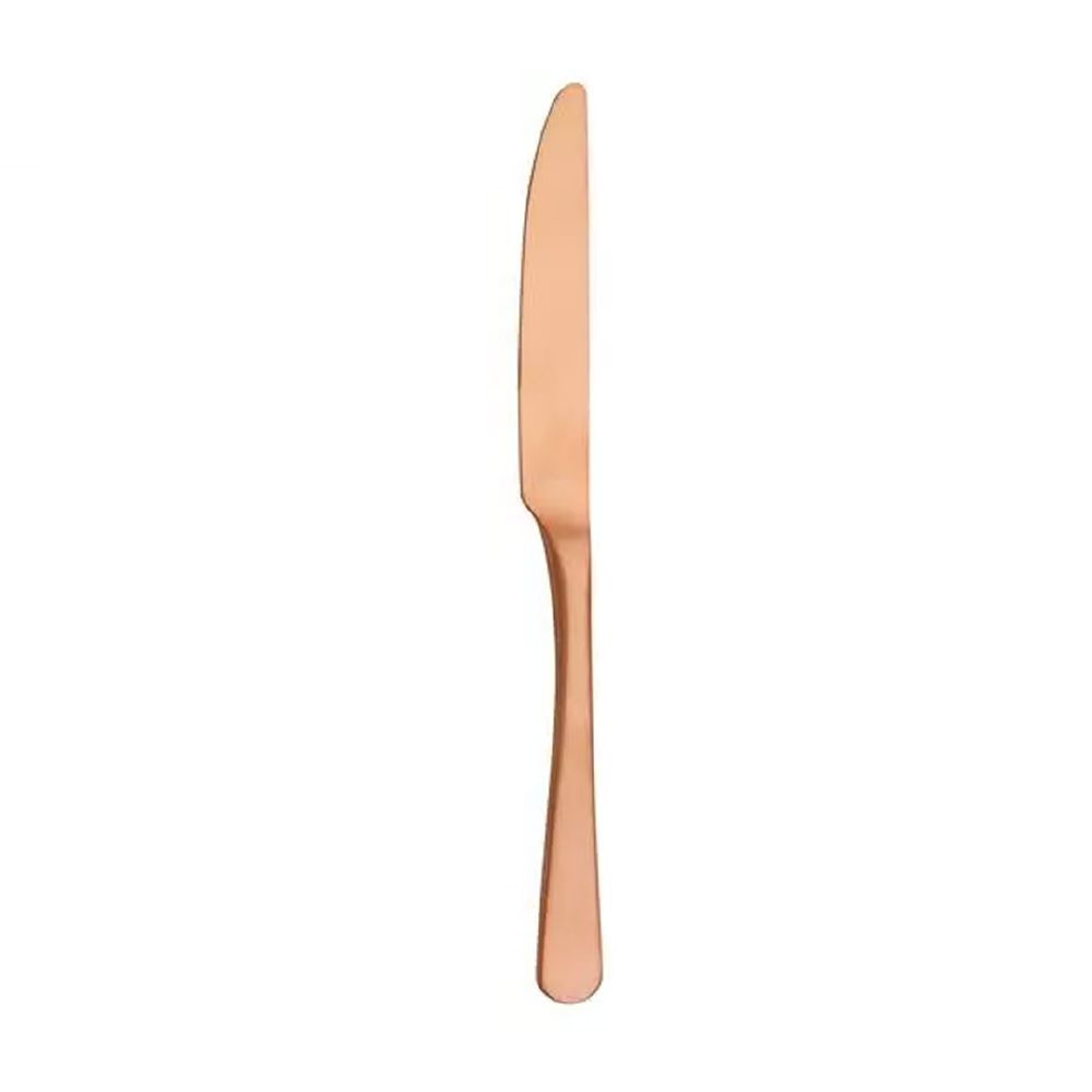 Amefa Austin Copper Table Knife