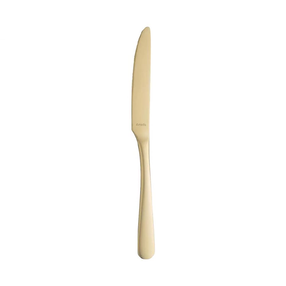 Amefa Austin Champagne Table Knife